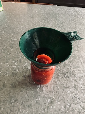Canning funnel