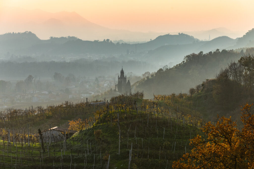 Prosecco-vineyards