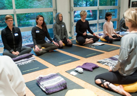 Inseus Mindfulness Group at Green Light Center