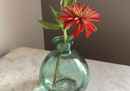 small glass green vase with red zinnia