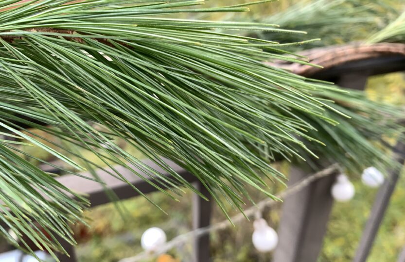pine-railing-with-lights